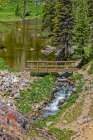USA, Wyoming, Snowy Range. French Creek Canyon Bridge over stream. Art Print
